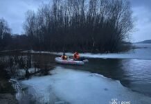 У Чернігові врятували собаку, який застряг на острівці посеред Десни