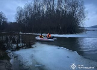 У Чернігові врятували собаку, який застряг на острівці посеред Десни