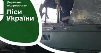 Два прильоти за тиждень: на Чернігівщині пошкоджено два об‘єкти лісового господарства