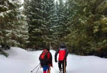 Туристка з Чернігова травмувала ногу в горах: її евакуювали рятувальники