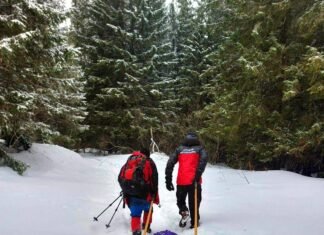 Туристка з Чернігова травмувала ногу в горах: її евакуювали рятувальники