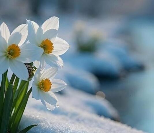 На Чернігівщині прогнозують теплий кінець березня: місцями до +19°C