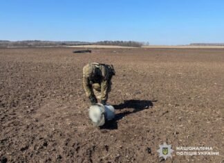 У Корюківському районі знайшли збитий російський БпЛА з нерозірваною бойовою частиною