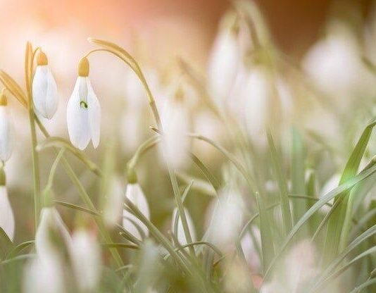 Туман, дощ і похолодання: якою буде погода на Чернігівщині до кінця березня