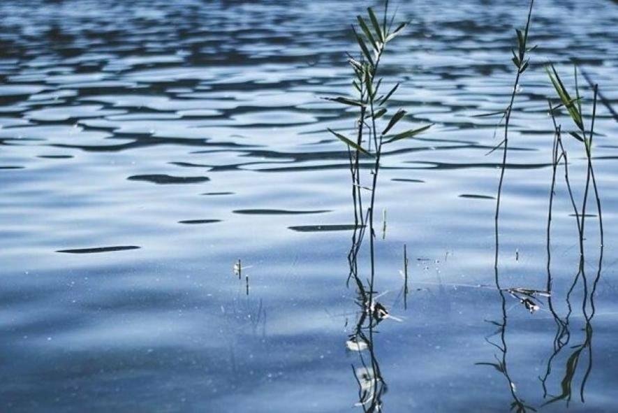 У Новгород-Сіверському на Чернігівщині з річки Десна дістали тіло жінки