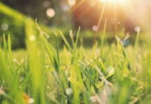 До +20, а потім різке похолодання: що чекає на Чернігівщину на початку квітня