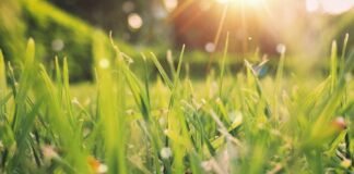 До +20, а потім різке похолодання: що чекає на Чернігівщину на початку квітня