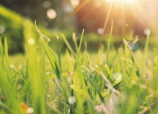 До +20, а потім різке похолодання: що чекає на Чернігівщину на початку квітня