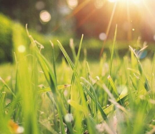 До +20, а потім різке похолодання: що чекає на Чернігівщину на початку квітня