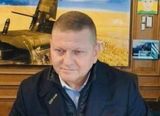 Залужный: именно политическая воля должна определить дальнейшую судьбу войны в Украине