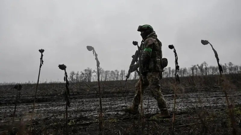 Бросили в дождь «значительные силы»: ВСУ за двое суток уничтожили роту россиян под Покровском (видео)