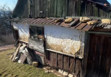 В горах нашли дом, где живет 90-летняя бабушка: что она рассказывает (фото)