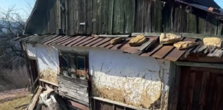 В горах нашли дом, где живет 90-летняя бабушка: что она рассказывает (фото)