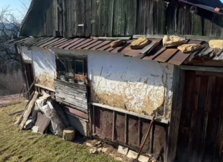 В горах нашли дом, где живет 90-летняя бабушка: что она рассказывает (фото)