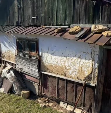 В горах нашли дом, где живет 90-летняя бабушка: что она рассказывает (фото)