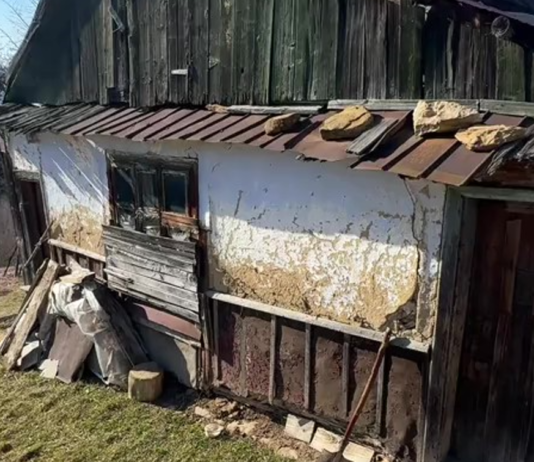 В горах нашли дом, где живет 90-летняя бабушка: что она рассказывает (фото)