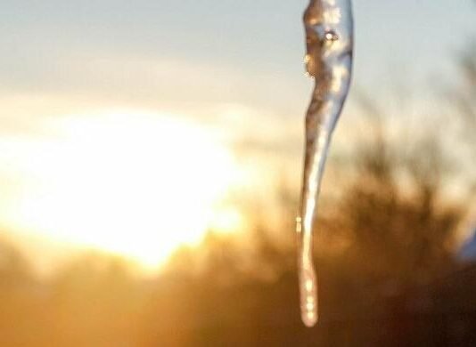 Температурний прогноз погоди для Чернігівщини на найближчі дні: коли очікується найтепліший день