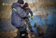 На Чернігівщині в озері знайшли тіло пенсіонера
