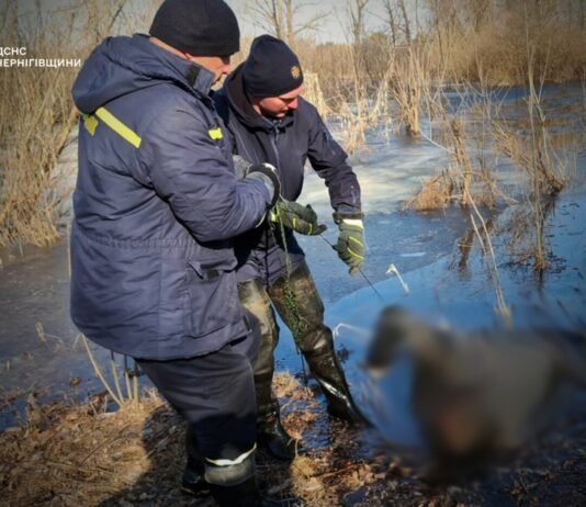 На Чернігівщині в озері знайшли тіло пенсіонера