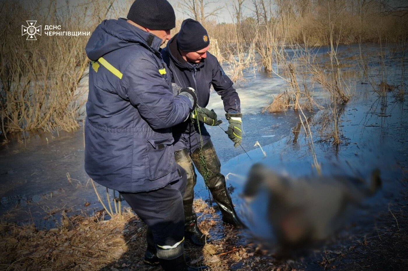 На Чернігівщині в озері знайшли тіло пенсіонера