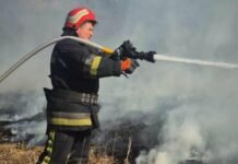 На Чернігівщині за добу сталося 24 пожежі сухостою: є постраждалий