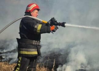 На Чернігівщині за добу сталося 24 пожежі сухостою: є постраждалий