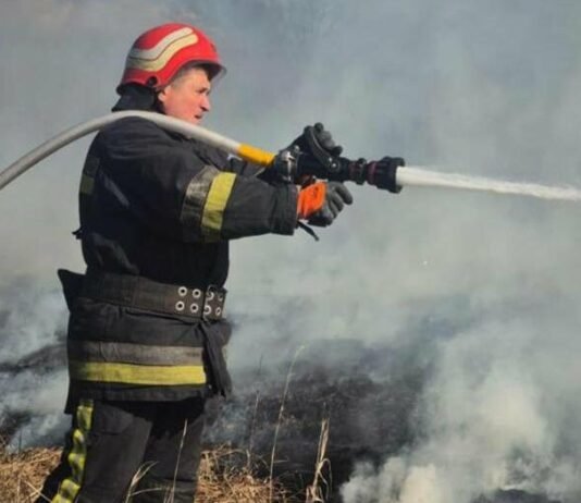 На Чернігівщині за добу сталося 24 пожежі сухостою: є постраждалий