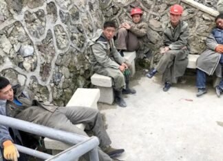 «Без перерывов»: сотня тысяч северных корейцев работают в РФ за 10 долларов в месяц, — Fox News