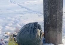 Хтось систематично викидає сміття майже в центрі Остра (Фото)