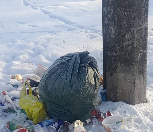 Хтось систематично викидає сміття майже в центрі Остра (Фото)