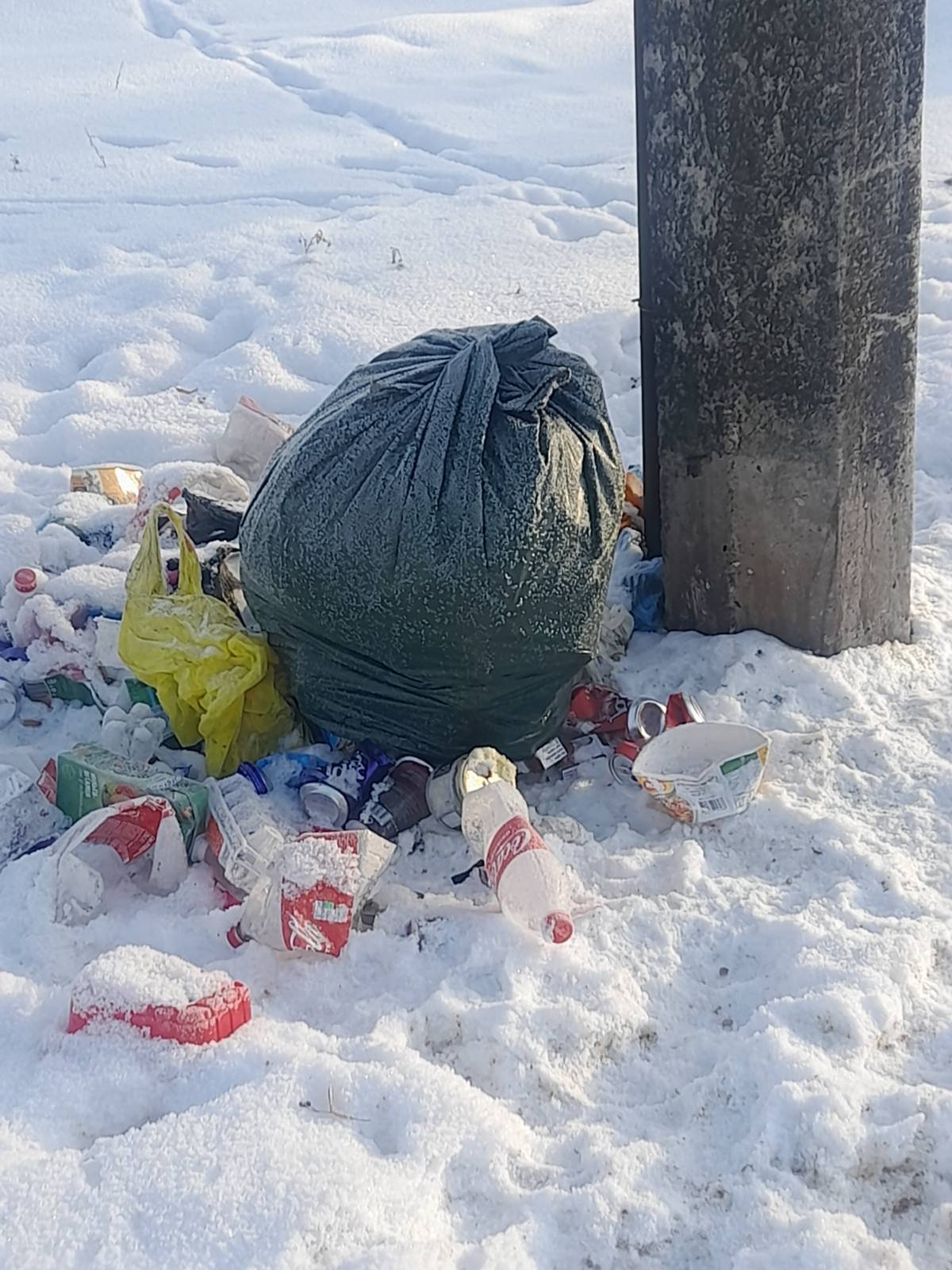 Хтось систематично викидає сміття майже в центрі Остра (Фото)