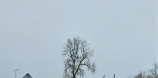 На Чернігівщині провели в останню путь воїна