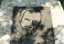 На Чернігівщині росте 500-річний дуб, під яким нібито відпочивав Тарас Шевченко