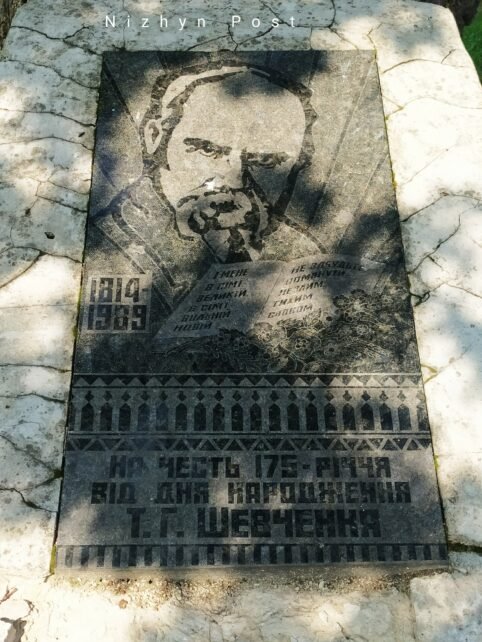 На Чернігівщині росте 500-річний дуб, під яким нібито відпочивав Тарас Шевченко