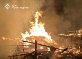 На Чернігівщині внаслідок влучання безпілотника постраждали дві жінки