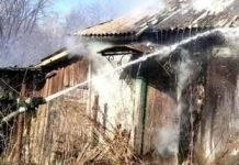 Горіло понад 5 гектарів сухостою: на Чернігівщині ліквідували 8 пожеж