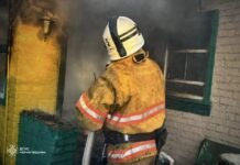 На Чернігівщині за добу сталося 11 пожеж, більшість – в екосистемах