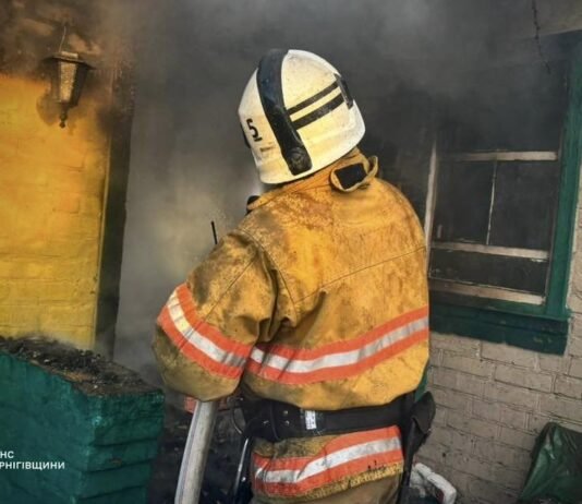 На Чернігівщині за добу сталося 11 пожеж, більшість – в екосистемах