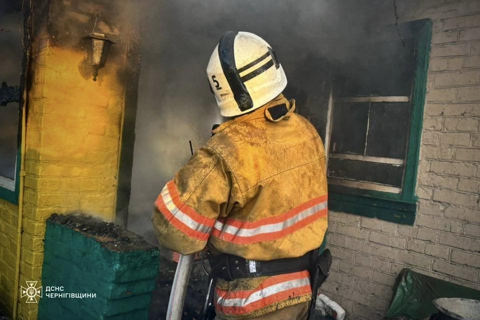 На Чернігівщині за добу сталося 11 пожеж, більшість – в екосистемах