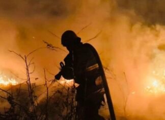 Майже 30 пожеж в екосистемах зафіксували на Чернігівщині за добу