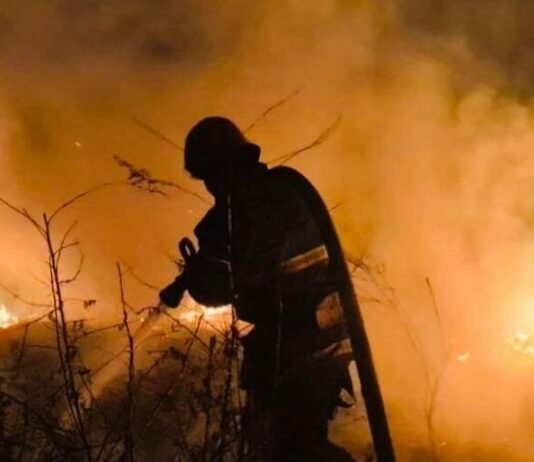 Майже 30 пожеж в екосистемах зафіксували на Чернігівщині за добу