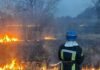 На Чернігівщині горіло понад 19 гектарів сухої трави