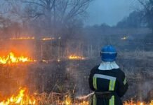 На Чернігівщині горіло понад 19 гектарів сухої трави