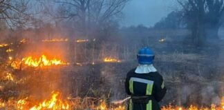 На Чернігівщині горіло понад 19 гектарів сухої трави