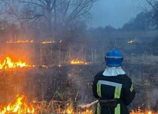 На Чернігівщині горіло понад 19 гектарів сухої трави