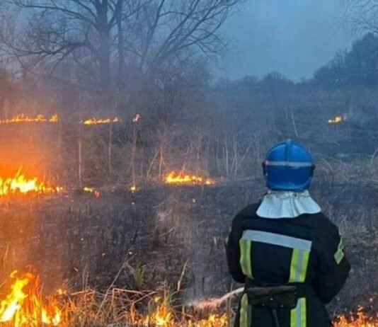 На Чернігівщині горіло понад 19 гектарів сухої трави