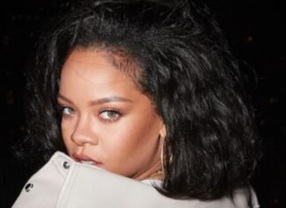 Рианна «в ужасе»: женщина, совершившая нападение со стрельбой на ее дом, изложила «странные» мотивы поступка