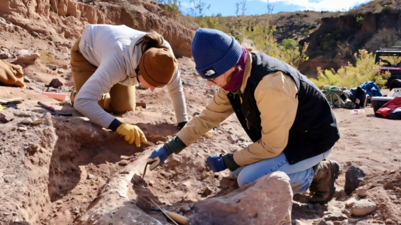 Единственный в своем роде: туристы уничтожили бивень мамонта возрастом 10 000 лет