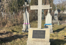 Заброшенная всеми: на кладбище в Украине нашли могилу королевы красоты «Мисс Польша» (фото)