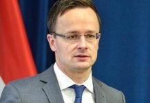 МИД Венгрии вызвал посла Украины из-за «насильственной охоты» за венграми в Закарпатье